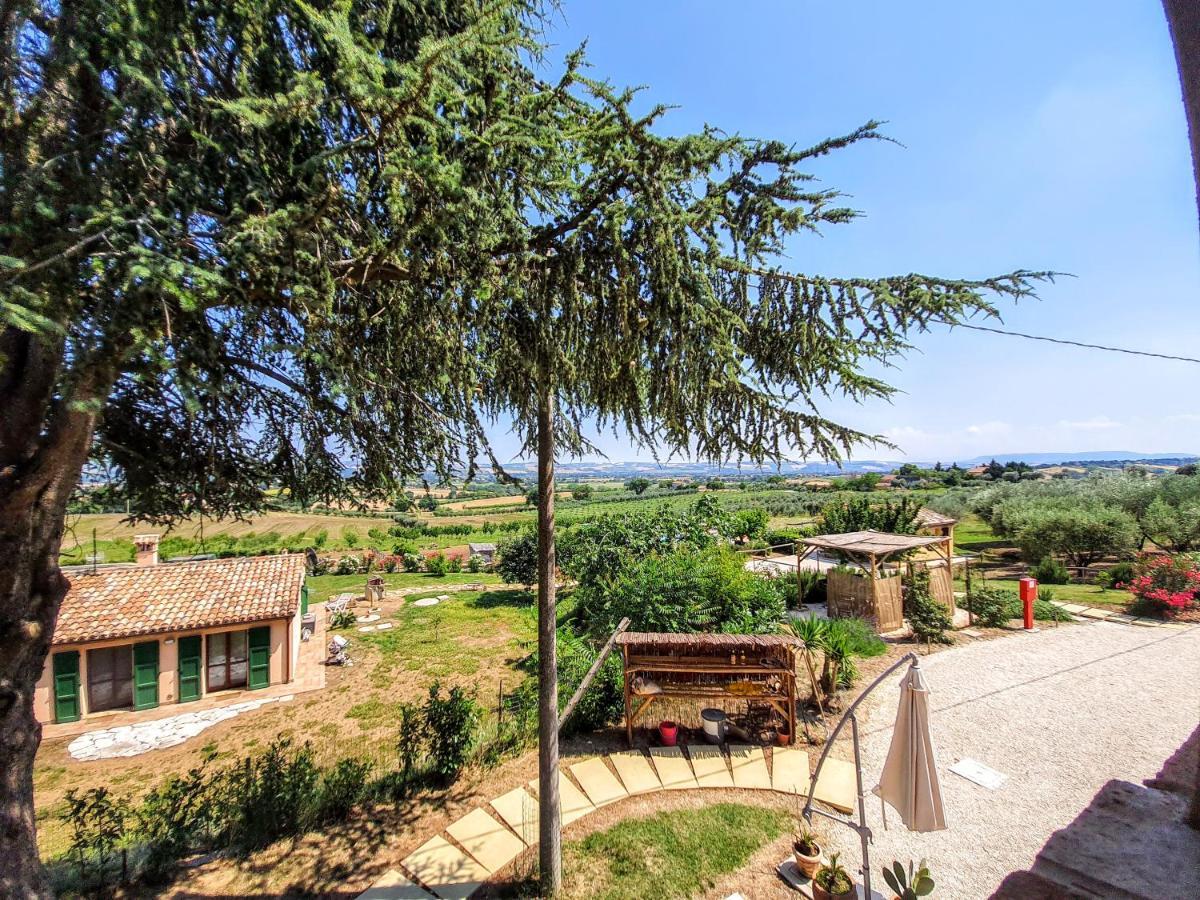 Agriturismo Rosa Antica Monte San Vito Luaran gambar