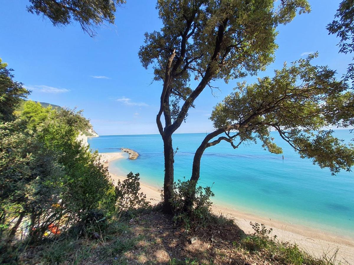 Agriturismo Rosa Antica Monte San Vito Luaran gambar