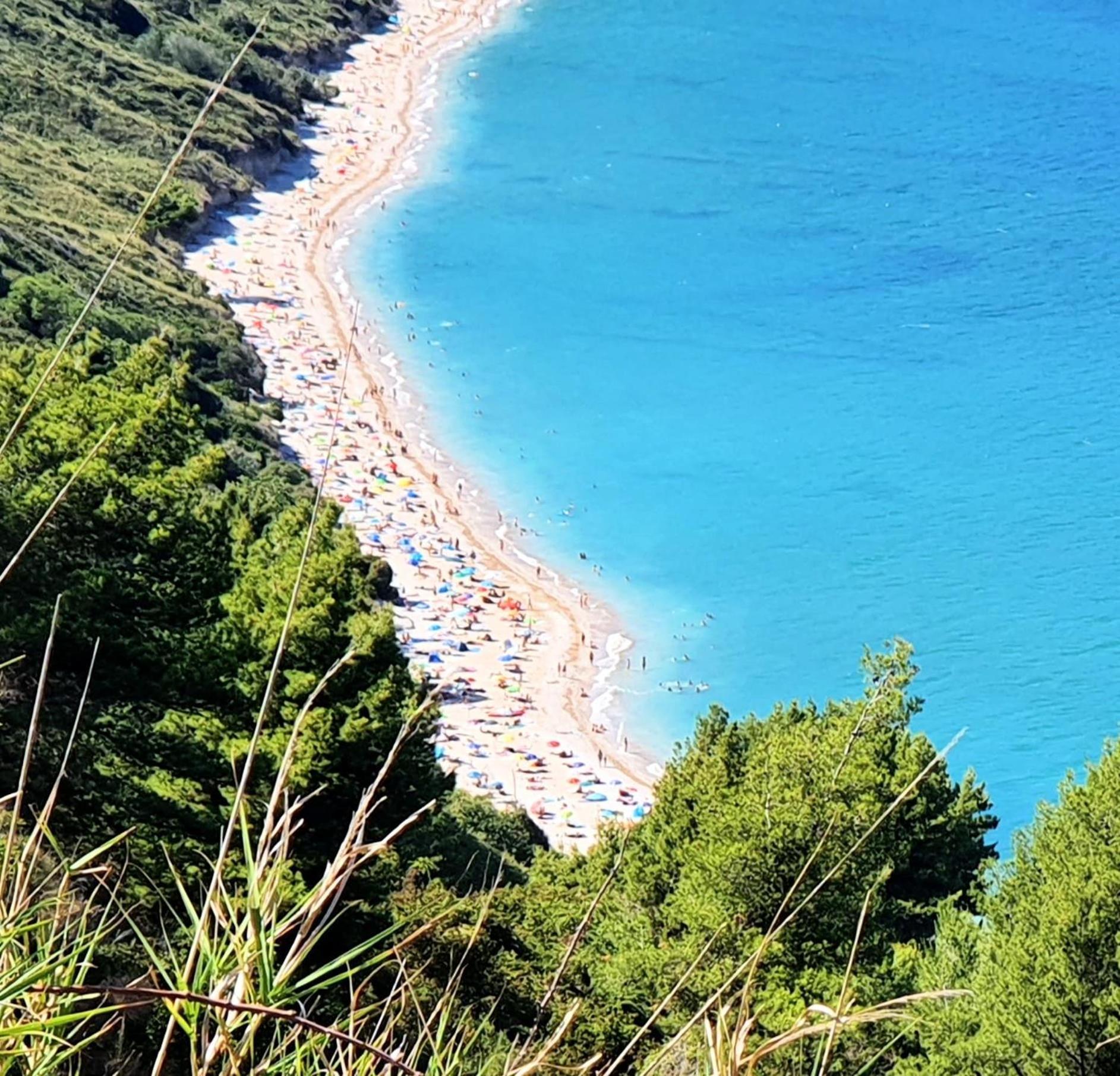 Agriturismo Rosa Antica Monte San Vito Luaran gambar