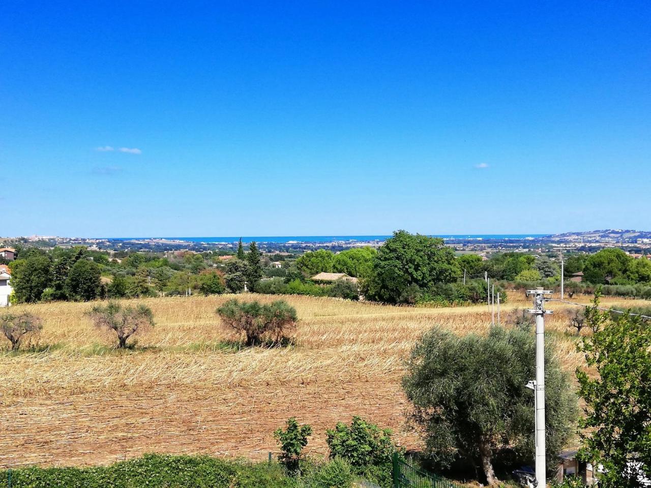 Agriturismo Rosa Antica Monte San Vito Luaran gambar