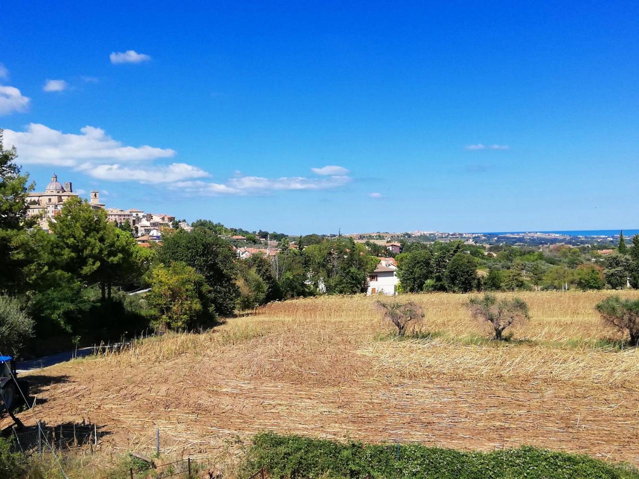 Agriturismo Rosa Antica Monte San Vito Luaran gambar