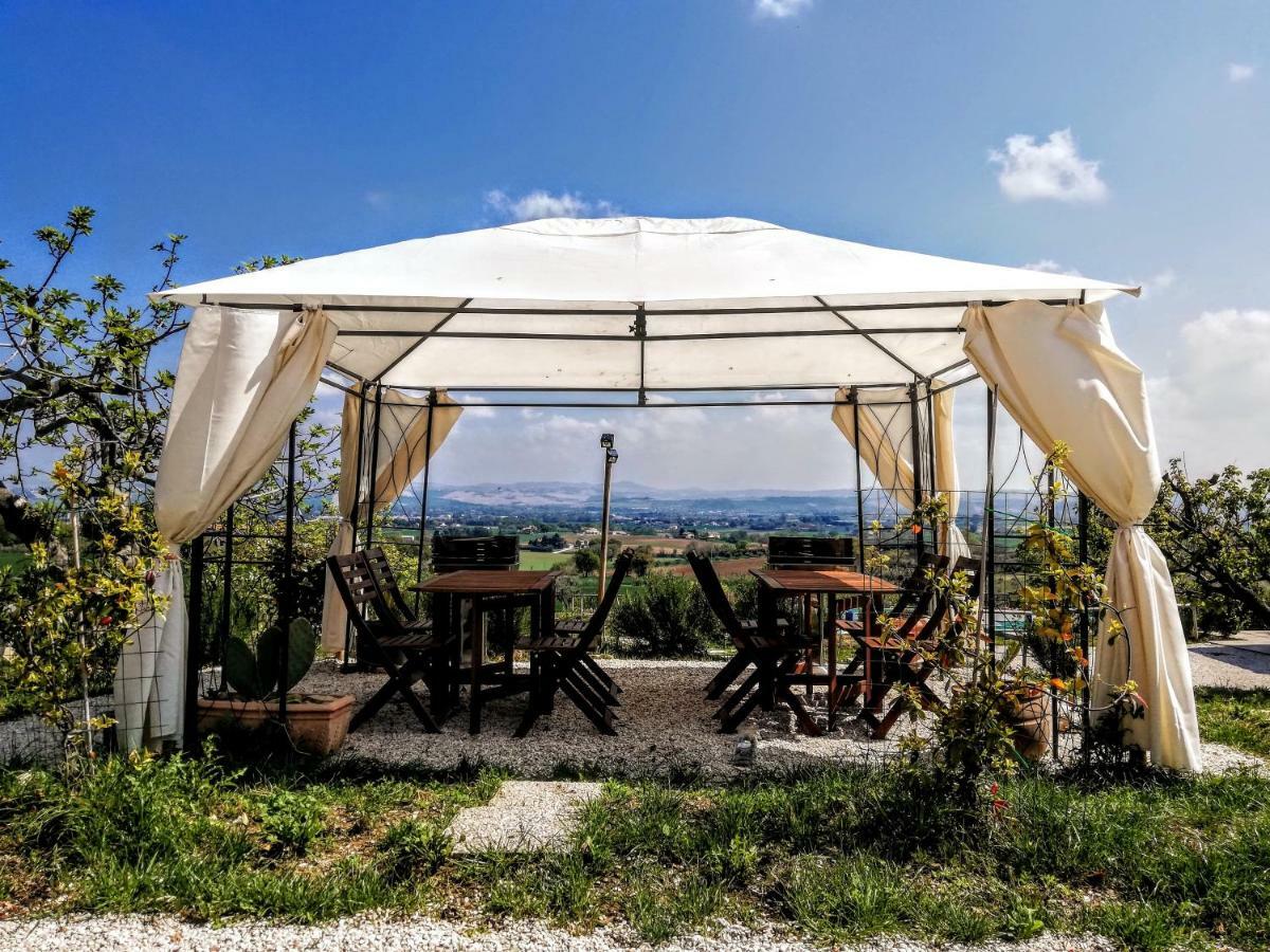 Agriturismo Rosa Antica Monte San Vito Luaran gambar